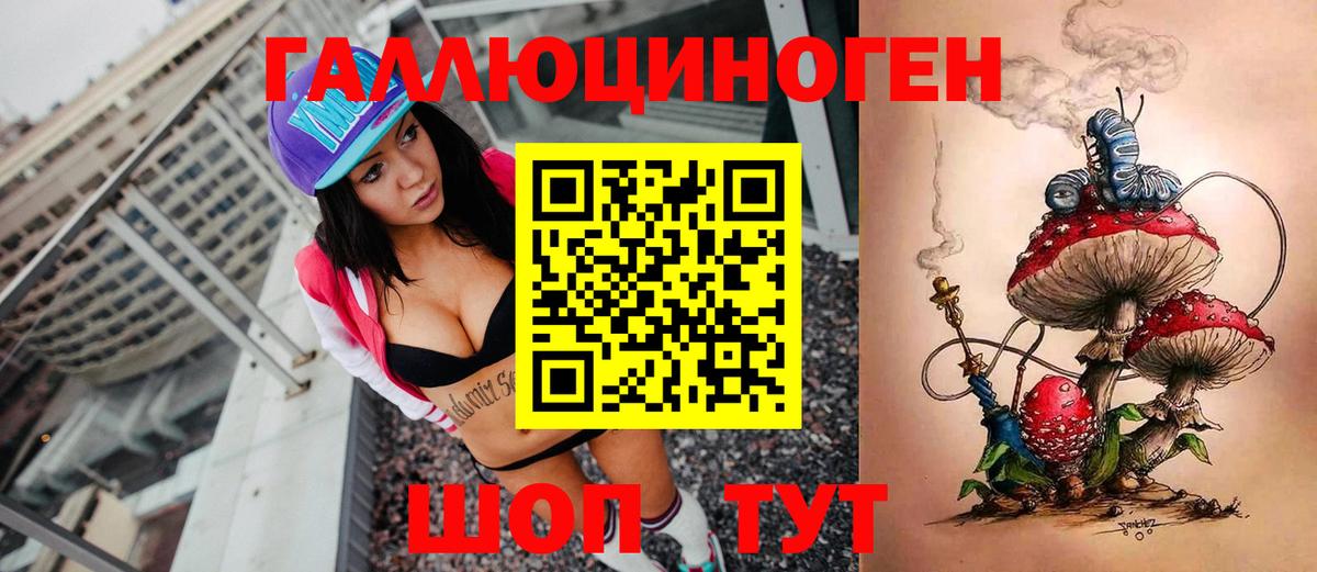 Псилоцибиновые грибы Psilocybe Красноуфимск